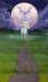 rowenamorrill_1_small.jpg