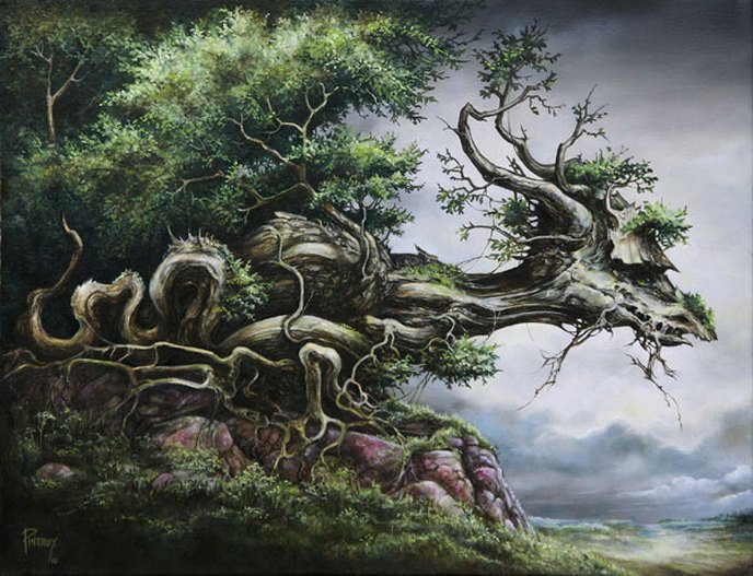 severinepineauxdragontree.jpg