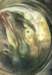 sulamithwulfingthird_eye_small.jpg