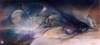 susanseddonboulet1_small.jpg