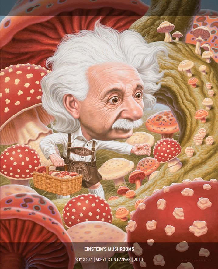toddschorreinsteinsmushrooms.jpg