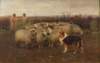 wrightbarkerguardingtheflock_small.jpg