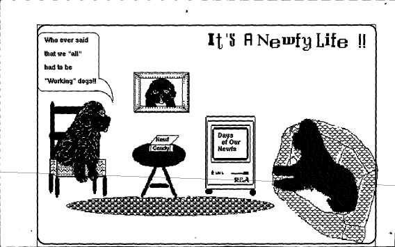 It's a Newfy Life Cartoon