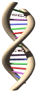 dna, RNA. alphebet soup