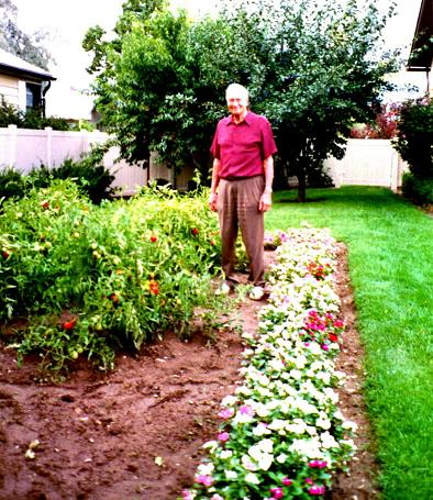 Dad's tomatos garden , plum , peach tree's behind him