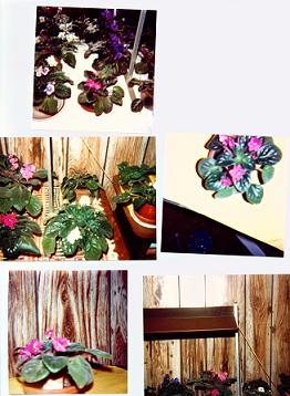 my hobby