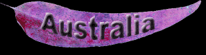 The Australian Image Collection