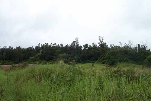 Pahoa Community Land