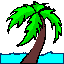 palm tree
