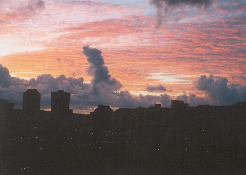 Monet's Hawaii