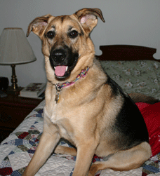 Princess Freya