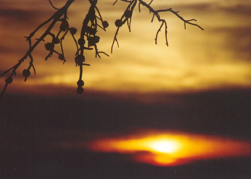 Shenandoah Sunset
