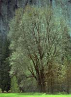 02050108a