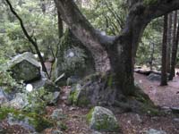 105-0569_IMG