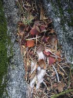 105-0575_IMG