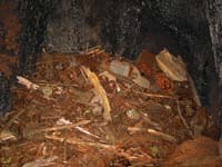 105-0580_IMG
