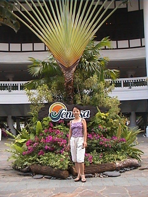 Sentosa