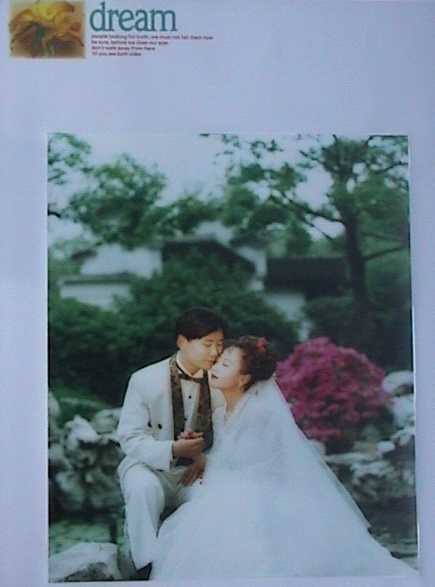 Wedding Photo