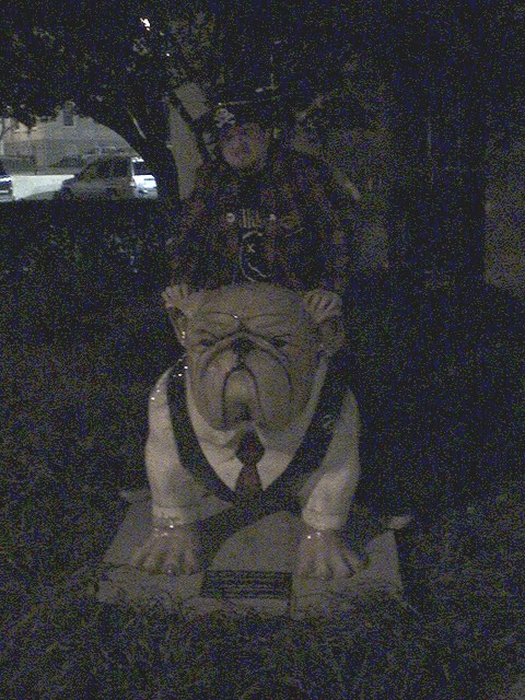 Finally, a dawg with class. No, it's not me.