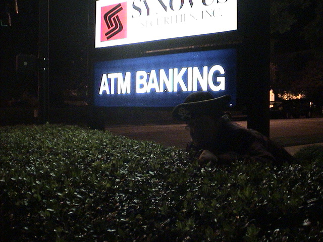 Between the hedges...