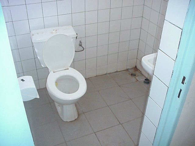 Vu d'une toilette