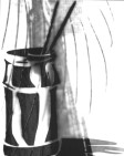 Brushes in a Jar