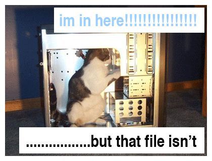 Not A Certified Tech