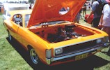 Hemi 4.3lt