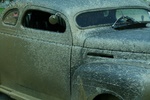 img_5741.jpg