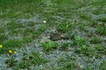 img_5752.jpg