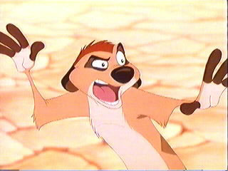 Timon