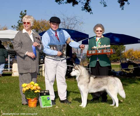 Crystal, Best of Winners CHKC1