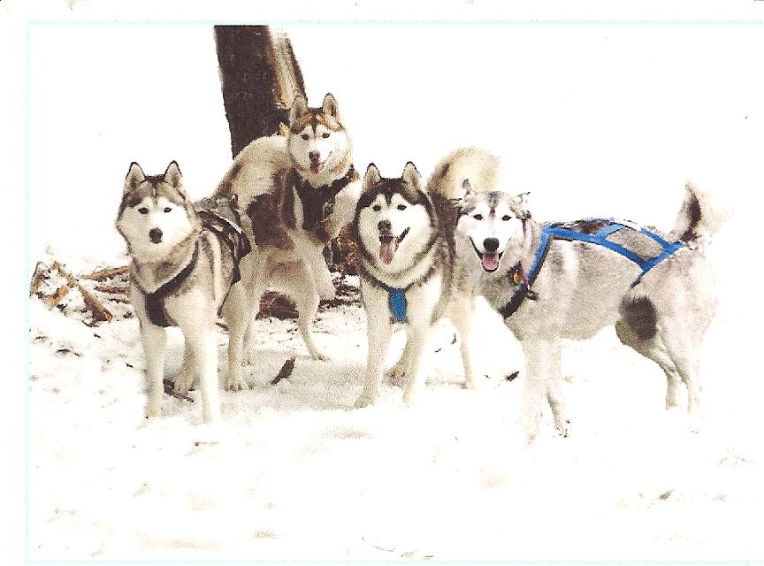 Crystal, Rose, Louis & Alicia