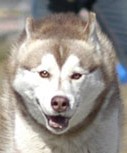 Sam