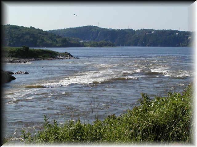 P6270988