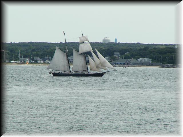 P6291019