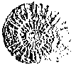 Movement with Prapto - July 2000