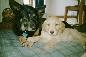 Canaan & Max