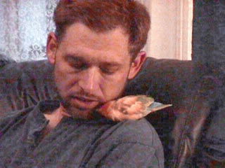 Chad and His Bird Elvis
