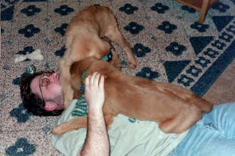 c_mauled