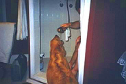 cooper_drink.jpg