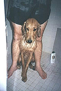 max_bath.jpg