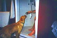 max_drink3.jpg
