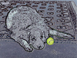 Sampson 3