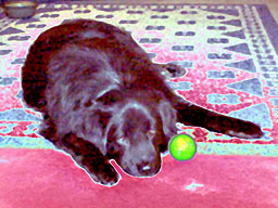 Sampson 5