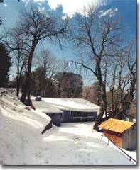Murree