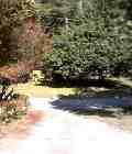 College Park Driveway (The New House)