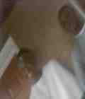 Click For (Picture Gallery)