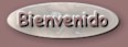 Bienvenido.jpg (2525 bytes)