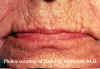 Labios3.jpg (78868 bytes)
